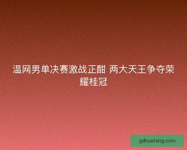 温网男单决赛激战正酣 两大天王争夺荣耀桂冠