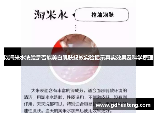 以淘米水洗脸是否能美白肌肤蚂蚁实验揭示真实效果及科学原理